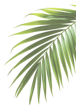 Leaf Banner