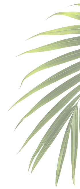 Leaf Banner